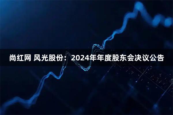 尚红网 风光股份：2024年年度股东会决议公告